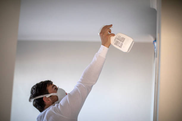 Best Affordable Mold Removal  in Lebanon, PA