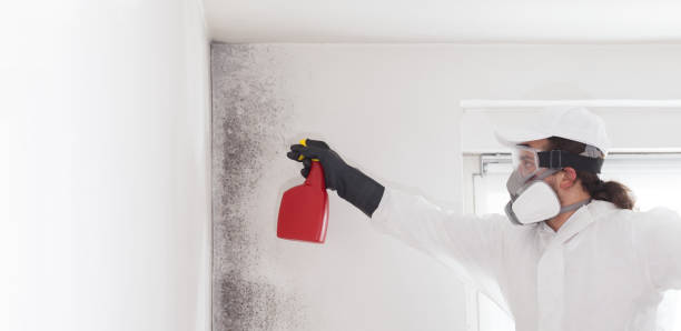 Best Mold Testing  in Lebanon, PA