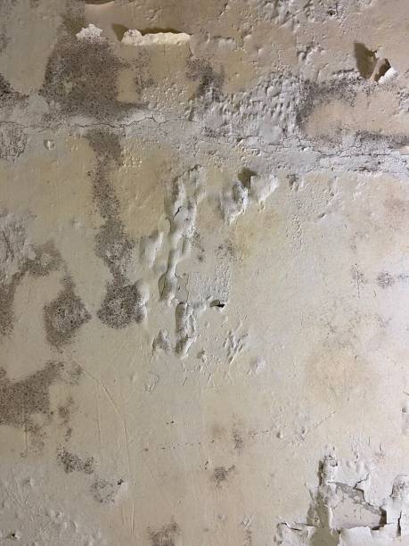 Water Damage Restoration in Lebanon, PA